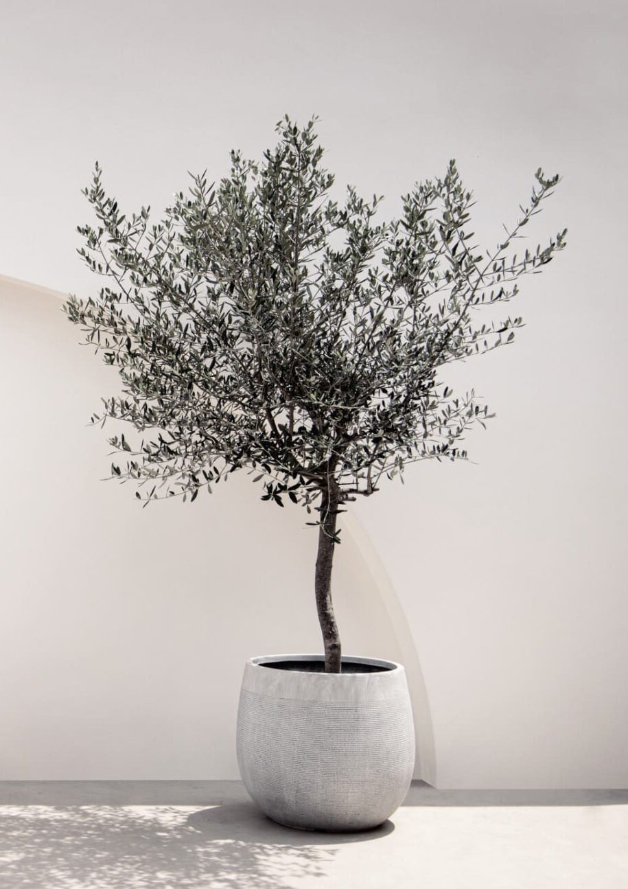 Top 5 Best Realistic Artificial Trees for Living Rooms