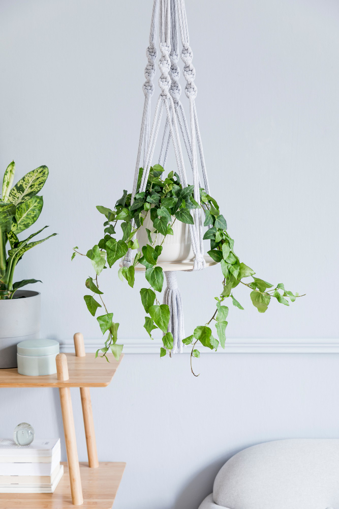 Fake Hanging Plants in Entry Hall