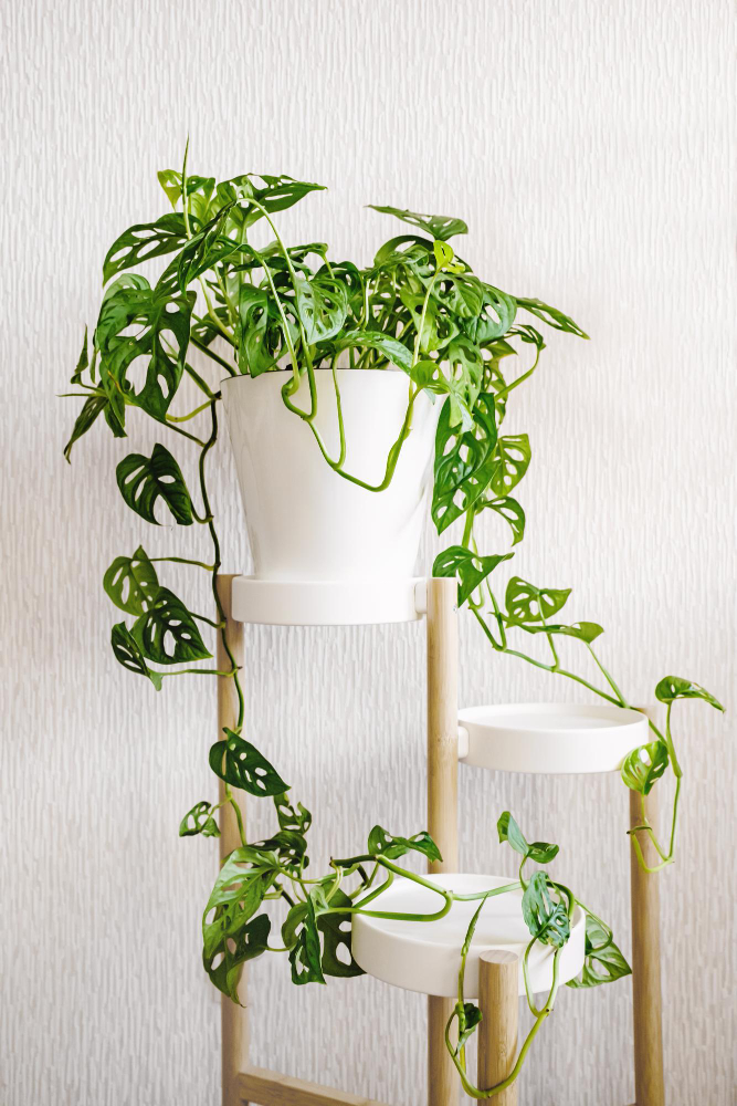 Fake Hanging Plants in Bedroom