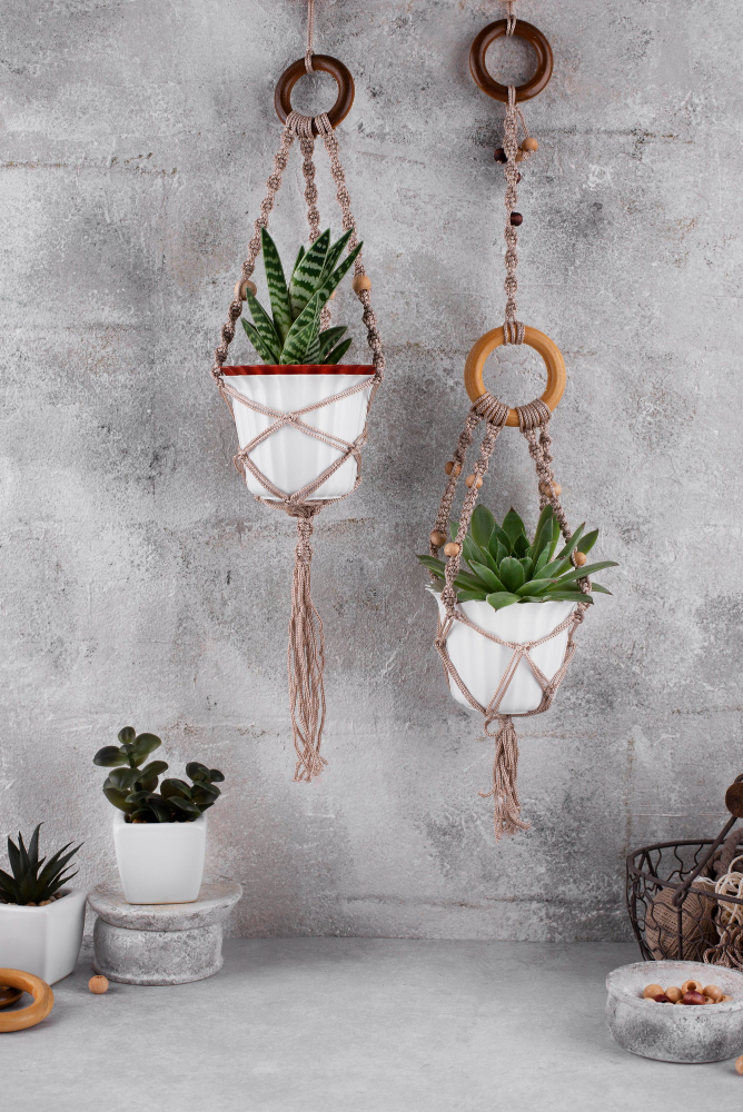 Fake Hanging Plants in Kitchen