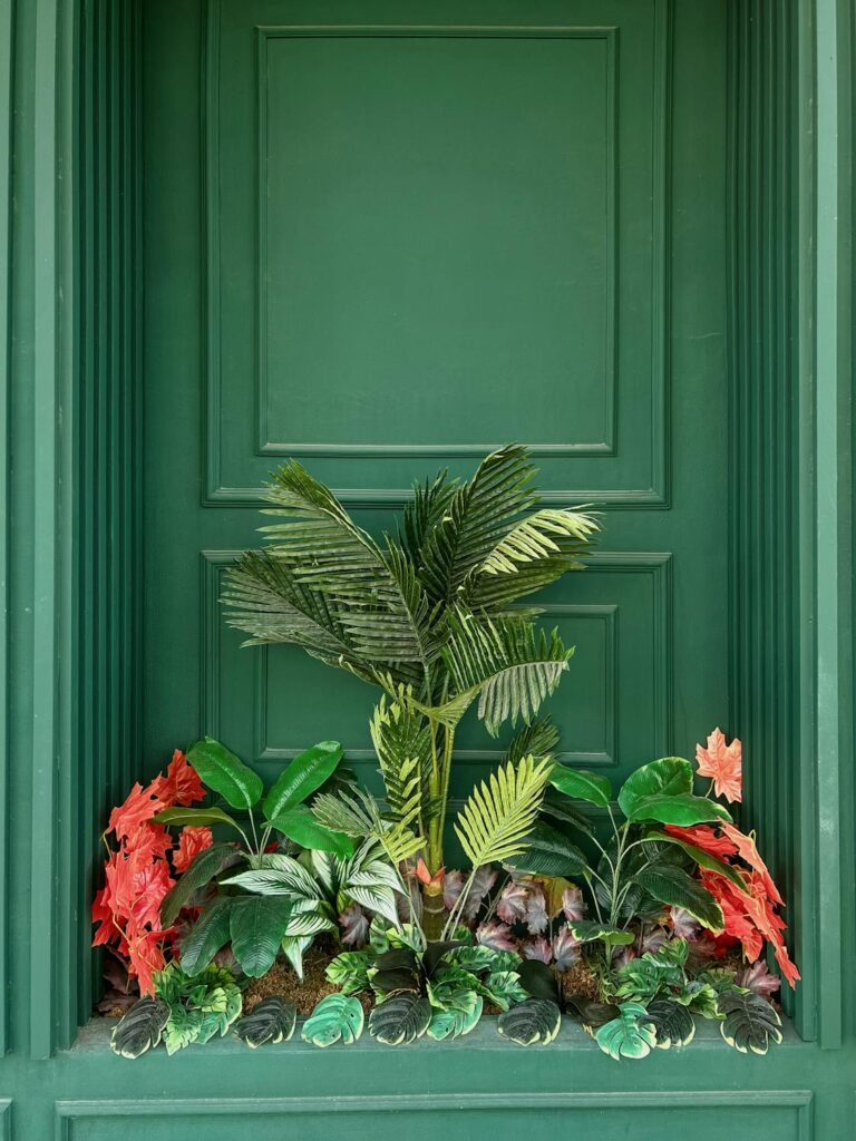 Pet-Safe Silk Palm Plant