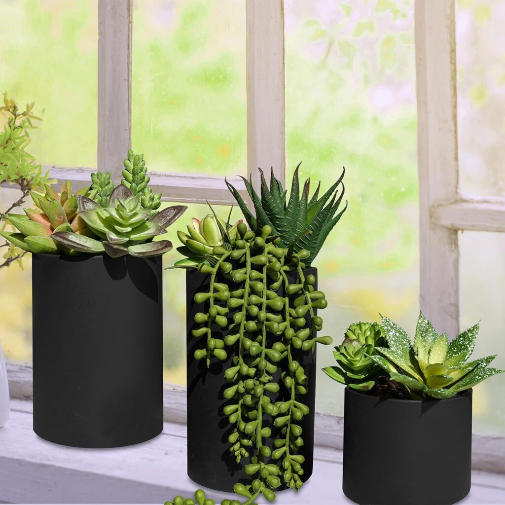 Realistic Mini Potted Fern Set