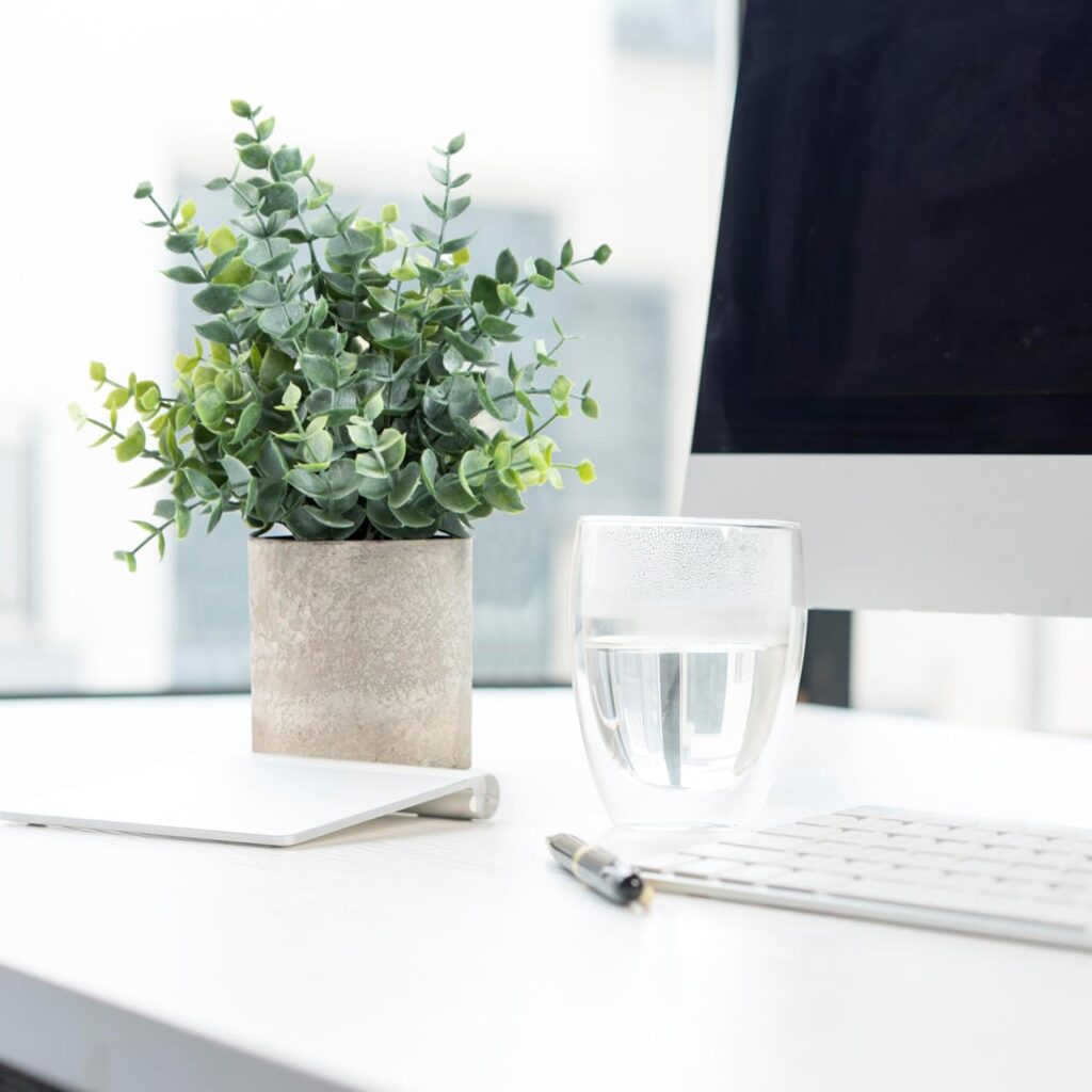 Silk Boston Fern with White Pot on a white desk