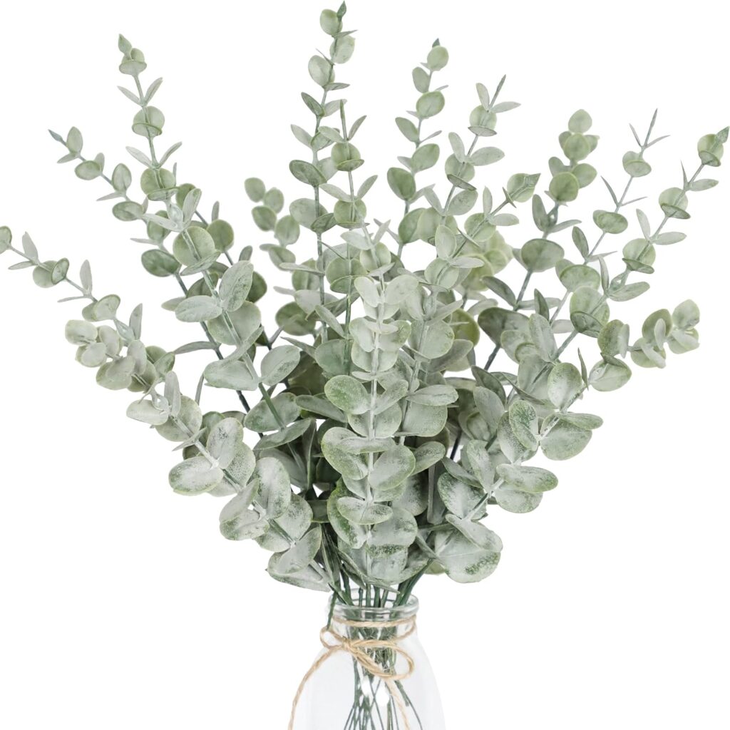 Eucalyptus Stems