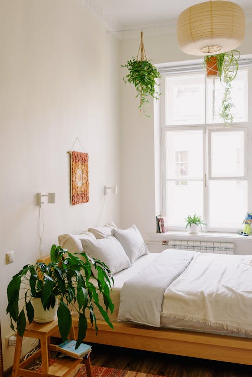 beautiful greenery in the form of hanging plants in the bedroom