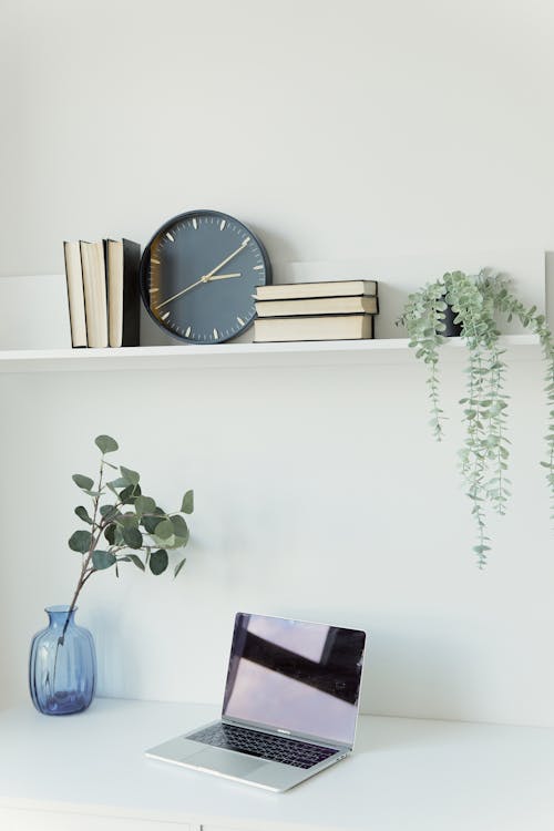 hanging plants and eucalyptus in office