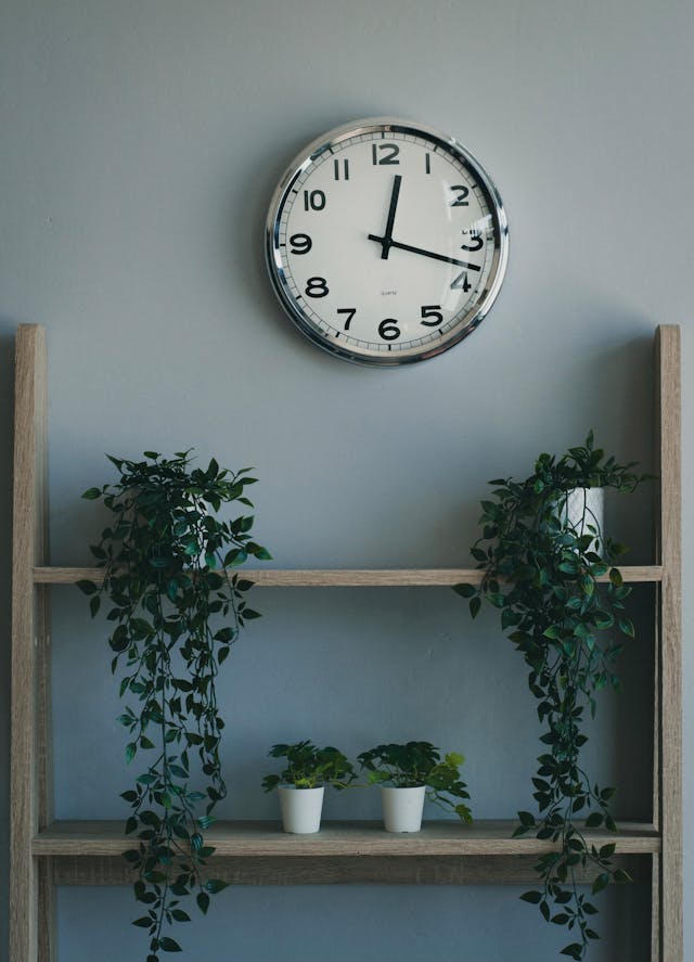 Stunning Hanging Fake Plants Ideas