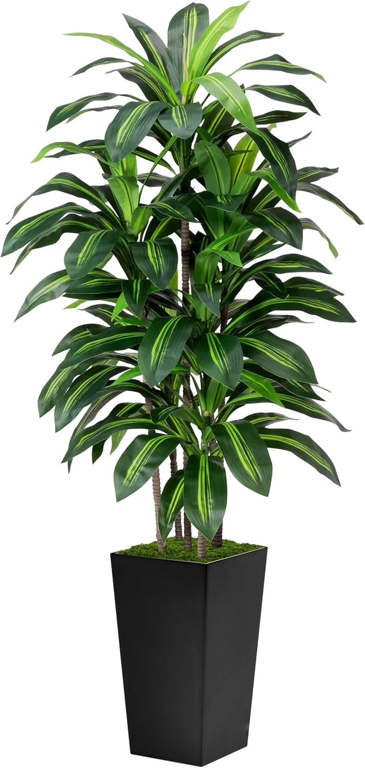 Tall faux Dracaena tree in a black pot