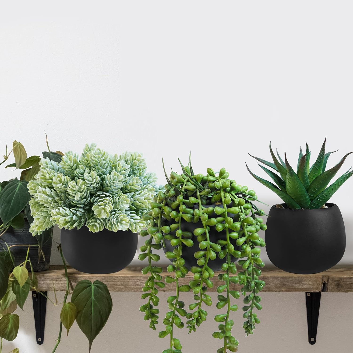 Mini faux succulent in gray concrete pot for shelf styling