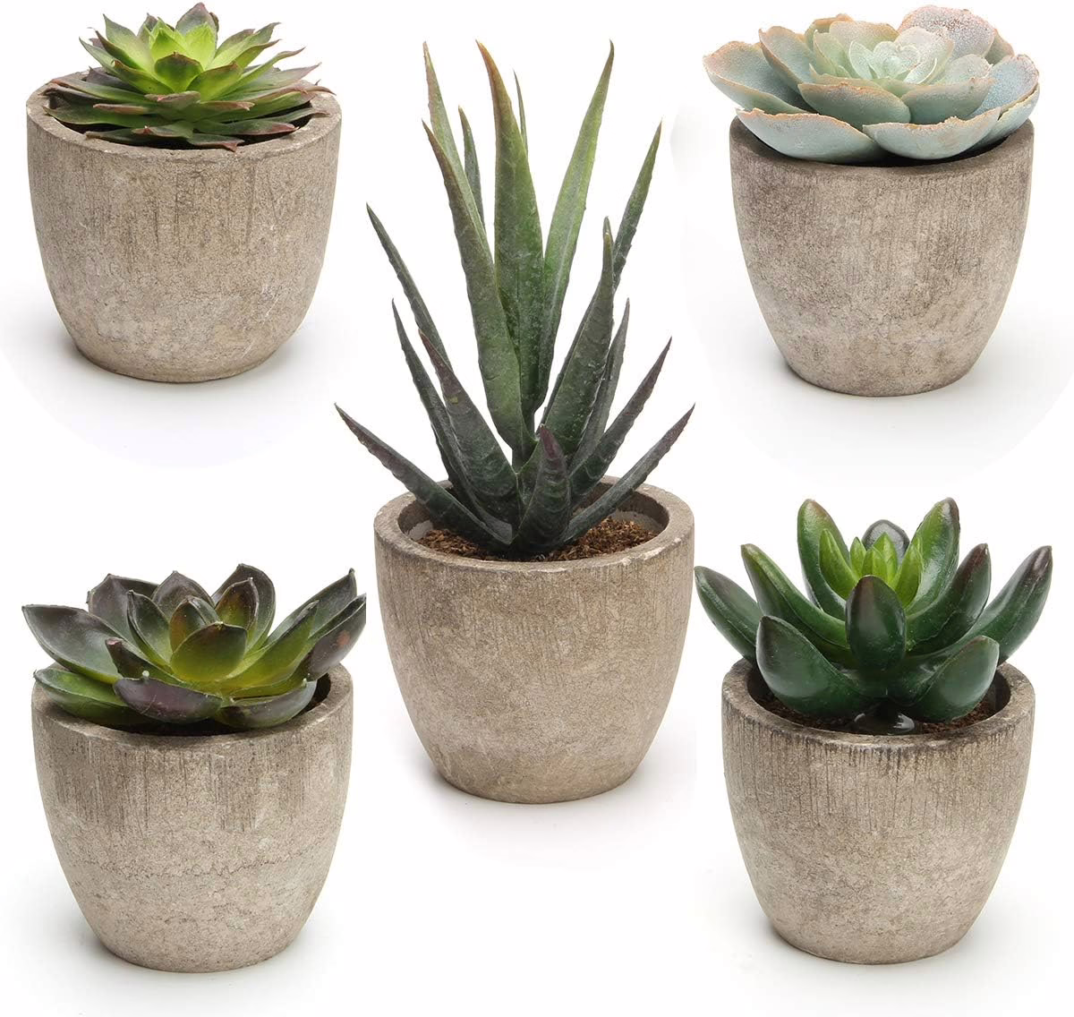 Set of mini artificial succulent plants in small white pots