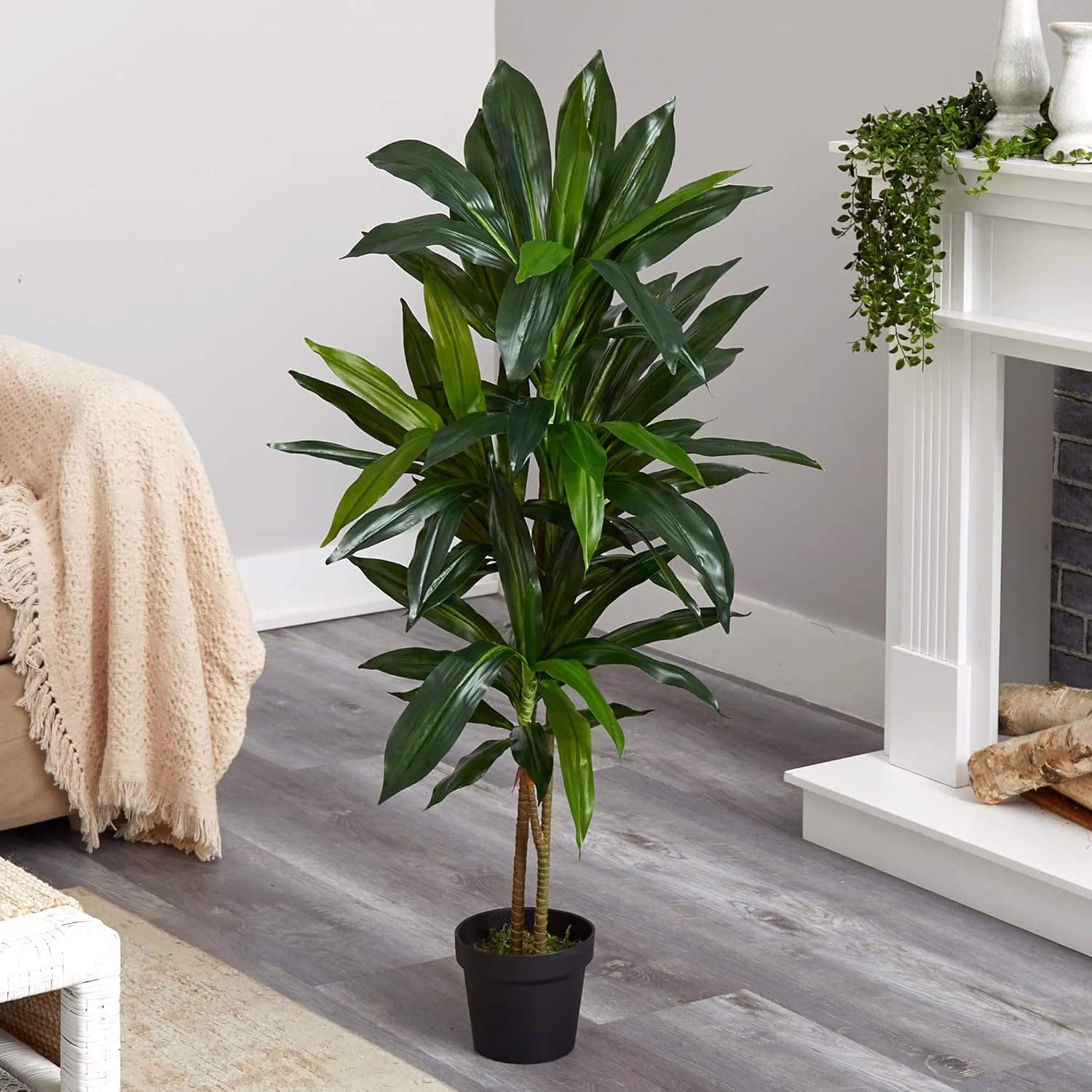 Nearly Natural Dracaena artificial plant with realistic green leaves