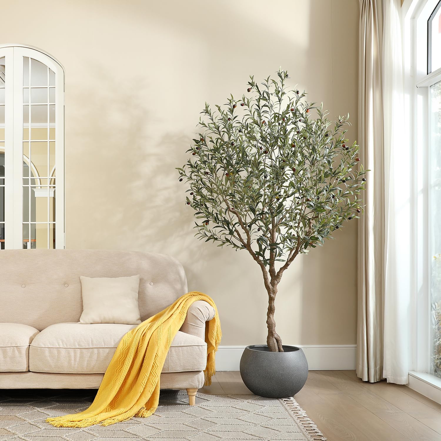 Tall 7ft LOMANTO Olive Tree with decorative pot