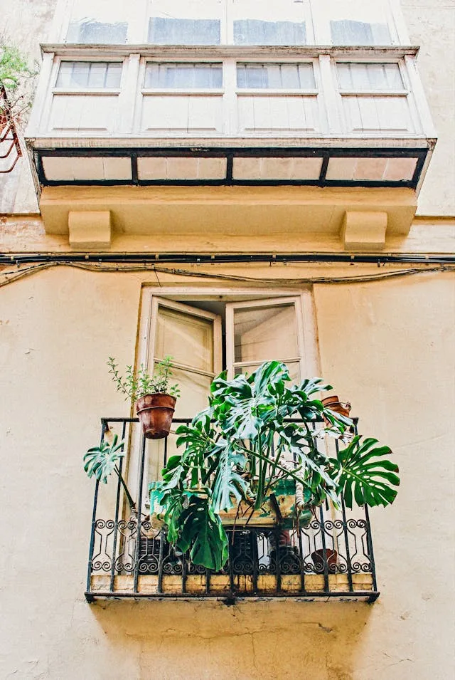 Fake Monstera Plants