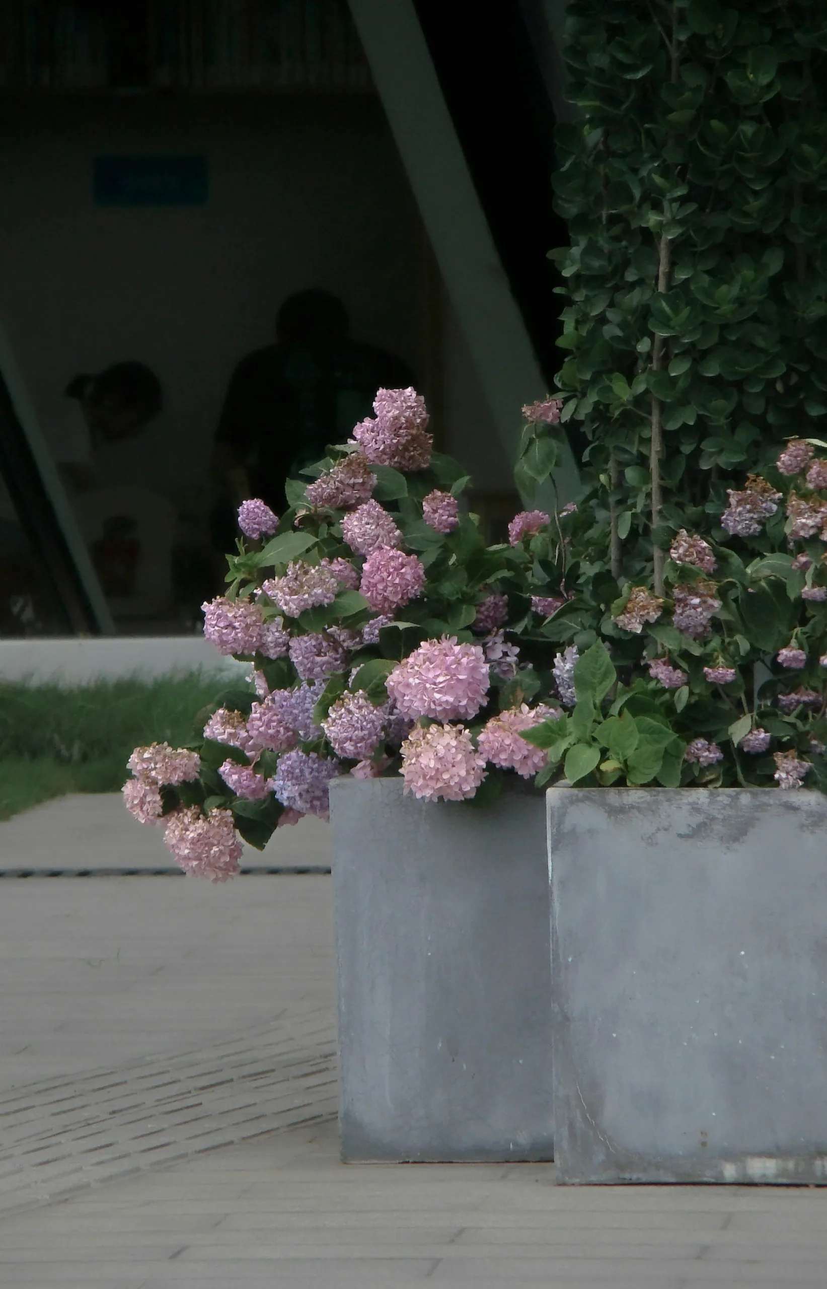 Big pink outdoor artificial plants in concrete pot