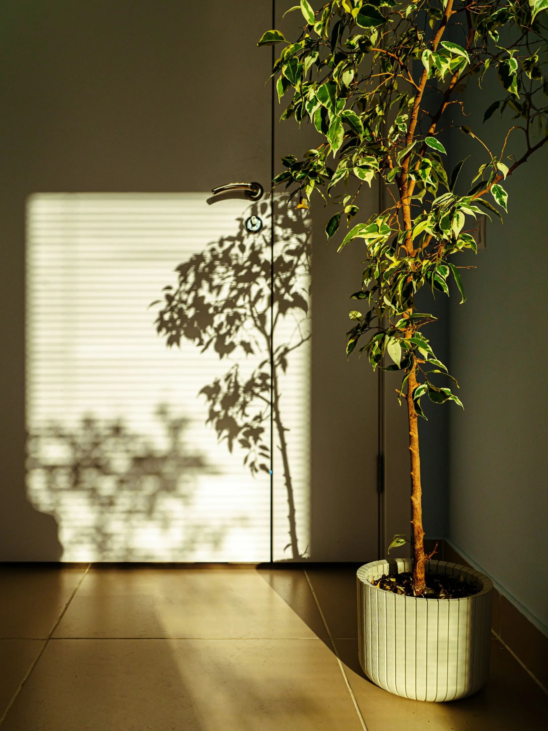 Modern room with artificial tree in decorative planter