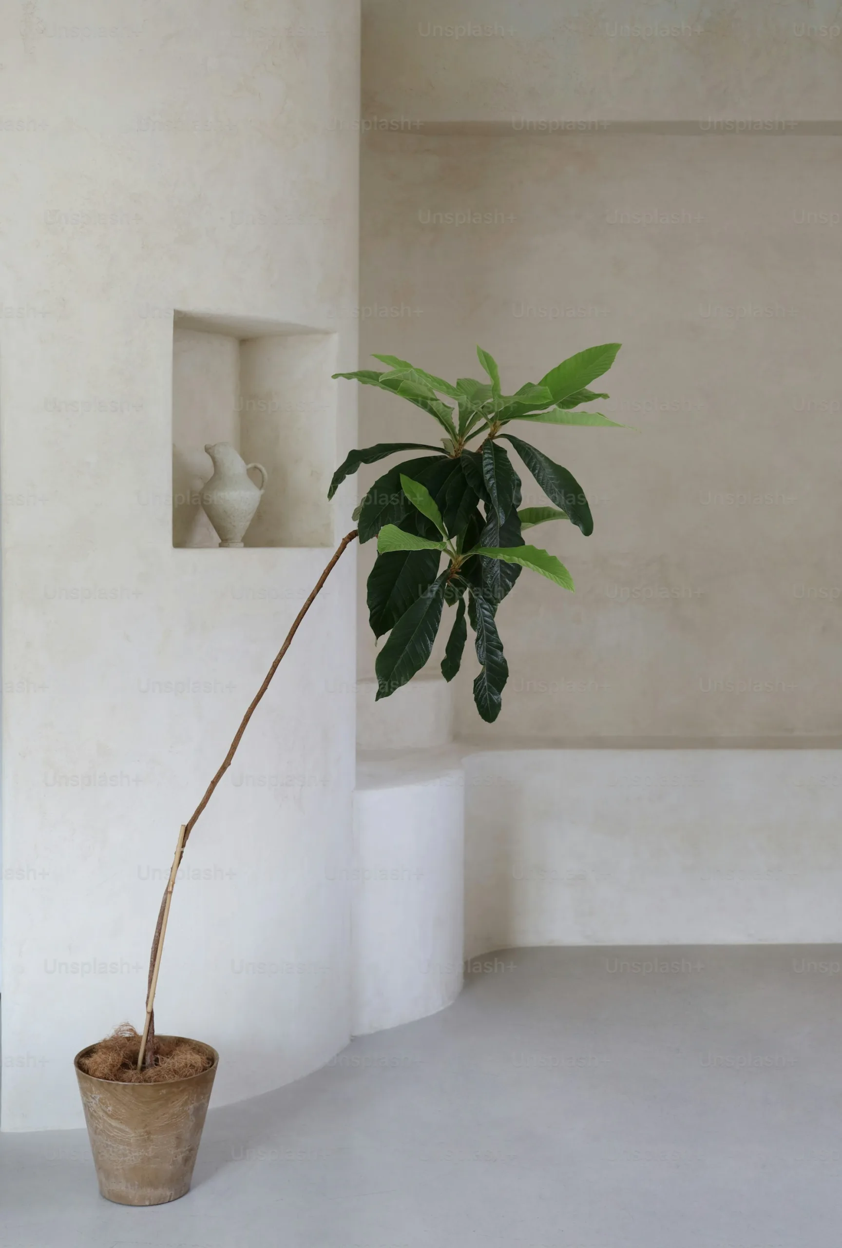 minimalist styling of a artificial tree