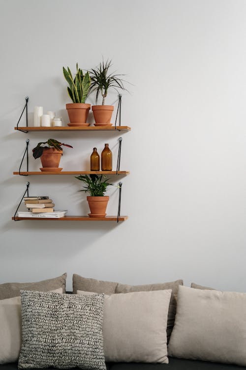 Brilliant Shelf Plant Decor Ideas to Elevate Any Room