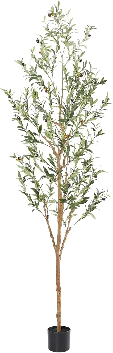 Realistic 7ft olive tree in a pot standing near office furniture