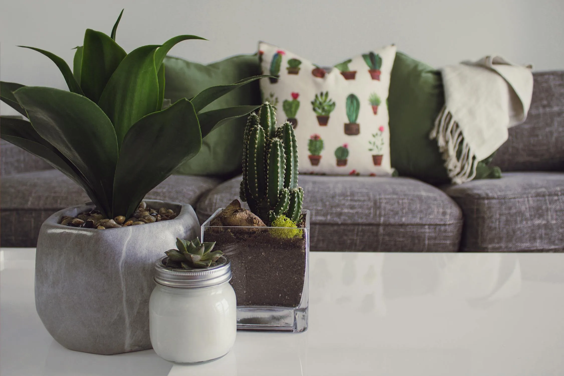 Minimalist mini artificial plants on living room table top