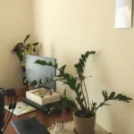 Best Mini Artificial Plants for Desk: Top Picks to Elevate Your Workspace