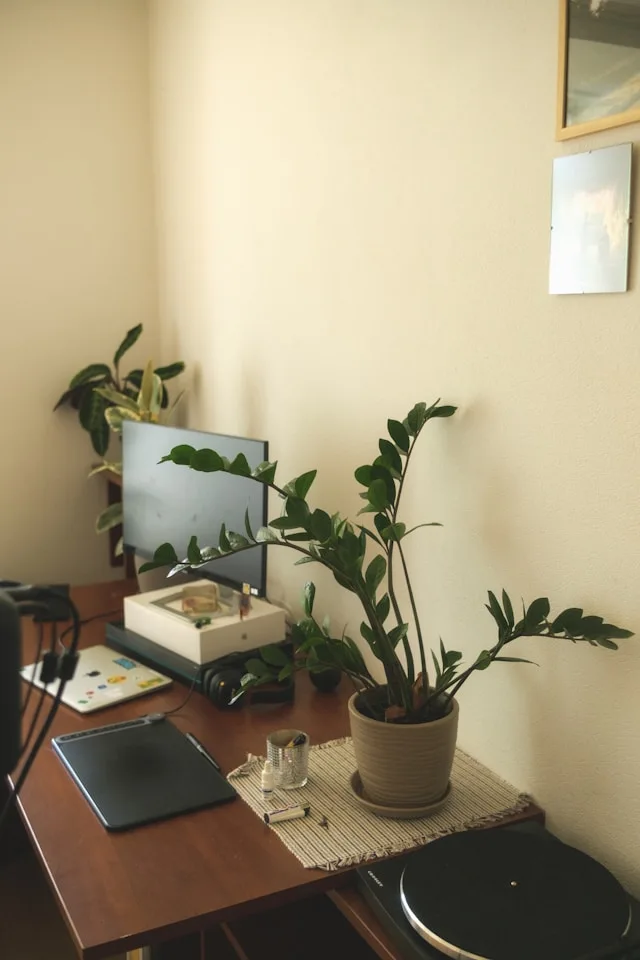 Best Mini Artificial Plants for Desk: Top Picks to Elevate Your Workspace